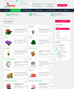 Дизайн страницы с каталогом цветов для компьютеров